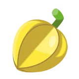 Chilan Berry &times; 10